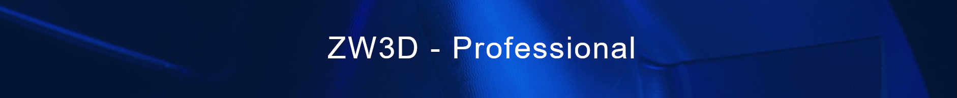 products banner Professional